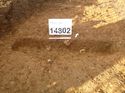 Thumbnail of Photo 1010820 south facing section of natural feature [914802] taken at Hunts Green Farm