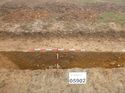 Thumbnail of Photo 1010824 south facing section of ditch [905902] taken at Hunts Green Farm