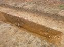 Thumbnail of Photo 1010828 southeast facing oblique of ditch [905902] taken at Hunts Green Farm