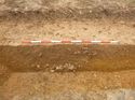 Thumbnail of Photo 1010832 south facing section of ditch [905902] taken at Hunts Green Farm