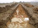 Thumbnail of Photo 1010840 southeast view of trench 66 taken at Hunts Green Farm