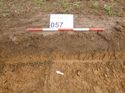 Thumbnail of Photo 1010850 west facing representative section of trench 57 taken at Hunts Green Farm