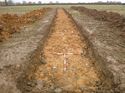 Thumbnail of Photo 1010855 east view of trench 80 taken at Hunts Green Farm