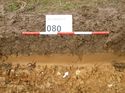 Thumbnail of Photo 1010856 west facing representative section of trench 80 taken at Hunts Green Farm