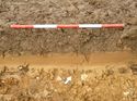 Thumbnail of Photo 1010857 west facing representative section of trench 80 taken at Hunts Green Farm