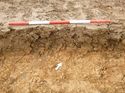 Thumbnail of Photo 1010870 southeast facing representative section of trench 79 taken at Hunts Green Farm