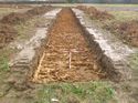 Thumbnail of Photo 1010874 north view of trench 82 taken at Hunts Green Farm