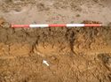 Thumbnail of Photo 1010878 southwest facing representative section of trench 82 taken at Hunts Green Farm