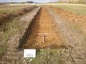 Thumbnail of Photo 1010881 northwest view of trench 83 taken at Hunts Green Farm
