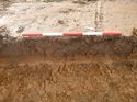 Thumbnail of Photo 1010886 west facing representative section of trench 83 taken at Hunts Green Farm