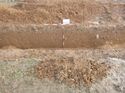 Thumbnail of Photo 1010891 northeast facing section of ditch terminus/pit/pond [904302] taken at Hunts Green Farm
