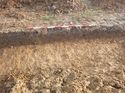 Thumbnail of Photo 1010902 south end of ditch terminus/pit/pond [904302] taken at Hunts Green Farm