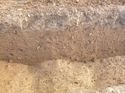 Thumbnail of Photo 1010905 detailed section reference of ditch terminus/pit/pond [904302] taken at Hunts Green Farm