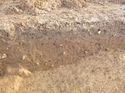 Thumbnail of Photo 1010909 detailed section reference of ditch terminus/pit/pond [904302] taken at Hunts Green Farm