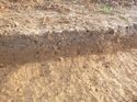 Thumbnail of Photo 1010910 detailed section reference of ditch terminus/pit/pond [904302] taken at Hunts Green Farm