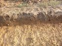 Thumbnail of Photo 1010911 detailed section reference of ditch terminus/pit/pond [904302] taken at Hunts Green Farm