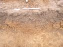 Thumbnail of Photo 1010918 east facing section of ditch [908302] taken at Hunts Green Farm