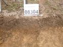 Thumbnail of Photo 1010921 east facing section of gully [908304] taken at Hunts Green Farm