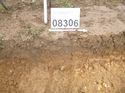Thumbnail of Photo 1010925 east facing section of gully [908306] taken at Hunts Green Farm