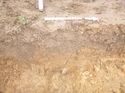 Thumbnail of Photo 1010926 east facing section of gully [908306] taken at Hunts Green Farm