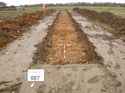 Thumbnail of Photo 1010935 south view of trench 87 taken at Hunts Green Farm