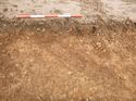 Thumbnail of Photo 1010946 east facing section of linear terminus [909102]
