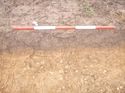 Thumbnail of Photo 1010954 southeast facing representative section of trench 25 taken at Hunts Green Farm