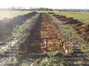 Thumbnail of Photo 1010956 south view of trench 106 taken at Hunts Green Farm