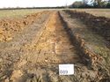 Thumbnail of Photo 1010963 east view of trench 89 taken at Hunts Green Farm