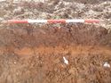 Thumbnail of Photo 1010972 north facing representative section of trench 96 taken at Hunts Green Farm