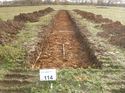 Thumbnail of Photo 1010973 south view of trench 114 taken at Hunts Green Farm