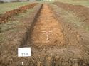 Thumbnail of Photo 1010975 north view of trench 114 taken at Hunts Green Farm