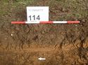 Thumbnail of Photo 1010977 west facing representative section of trench 114 taken at Hunts Green Farm