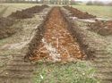 Thumbnail of Photo 1010980 southwest view of trench 119 taken at Hunts Green Farm