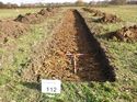 Thumbnail of Photo 1010987 west view of trench 112 taken at Hunts Green Farm
