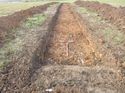 Thumbnail of Photo 1010990 east view of trench 112 taken at Hunts Green Farm