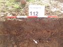 Thumbnail of Photo 1010991 northwest facing representative section of trench 112 taken at Hunts Green Farm