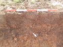 Thumbnail of Photo 1010992 northwest facing representative section of trench 112 taken at Hunts Green Farm