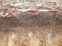 Thumbnail of Photo 1020004 north facing representative section of trench 23 taken at Hunts Green Farm