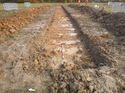 Thumbnail of Photo 1020006 east view of trench 23 taken at Hunts Green Farm