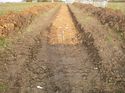 Thumbnail of Photo 1020016 east view of trench 118 taken at Hunts Green Farm