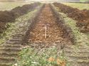 Thumbnail of Photo 1020018 west view of trench 118 taken at Hunts Green Farm