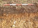 Thumbnail of Photo 1020020 north facing representative section of trench 118 taken at Hunts Green Farm