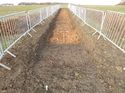 Thumbnail of Photo 1020022 northeast view of trench 120 taken at Hunts Green Farm