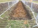 Thumbnail of Photo 1020024 southwest view of trench 120 taken at Hunts Green Farm