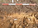 Thumbnail of Photo 1020026 east facing representative section of trench 118 taken at Hunts Green Farm