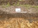 Thumbnail of Photo 1020045 east facing representative section of trench 101 taken at Hunts Green Farm