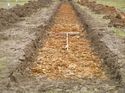 Thumbnail of Photo 1020048 east view of trench 95 taken at Hunts Green Farm