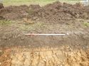 Thumbnail of Photo 1020054 south facing representative section of trench 95 taken at Hunts Green Farm