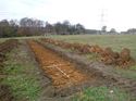 Thumbnail of Photo 1020059 northeast view of trench 109 taken at Hunts Green Farm